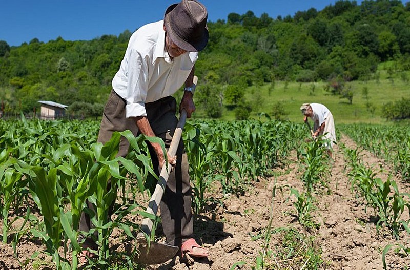 MP e articulação do mapa levam amparo ao produto rural